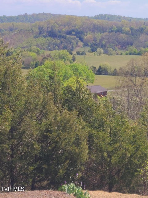 Photo #51: 701 Doc Hawkins Road