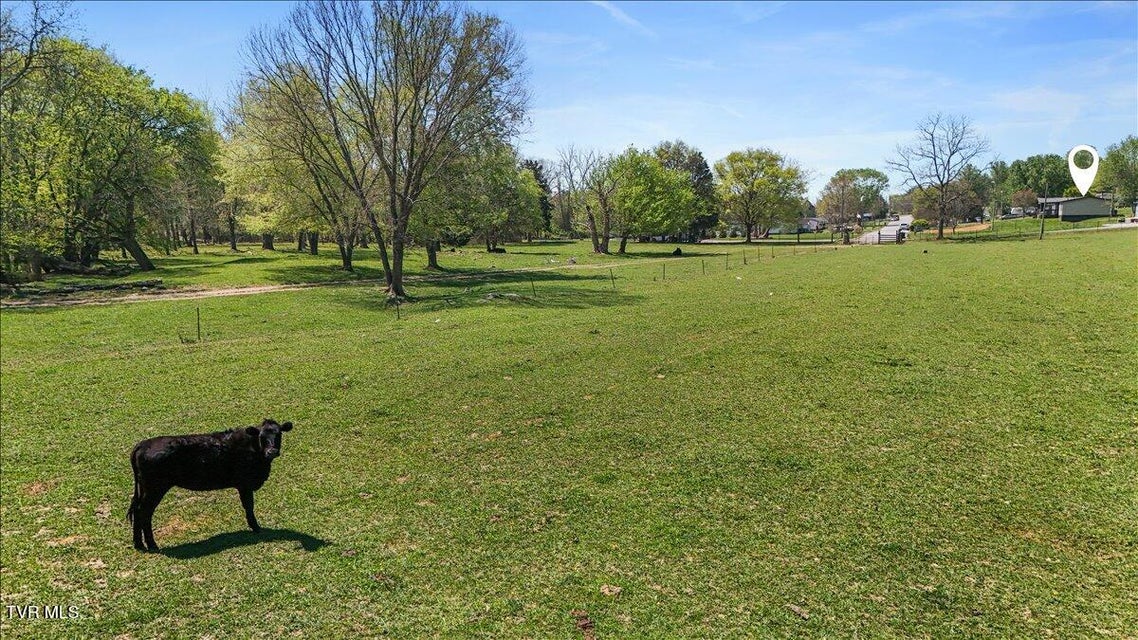 Photo #46: 151 Chalk Level Road