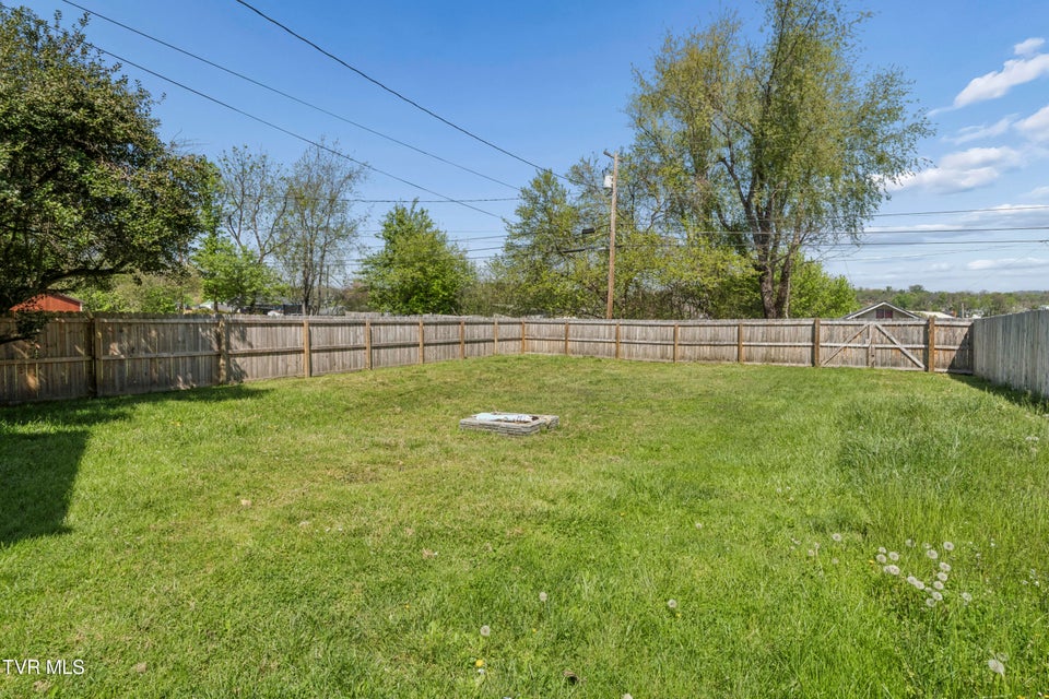 Photo #29: 424 Hamilton Street