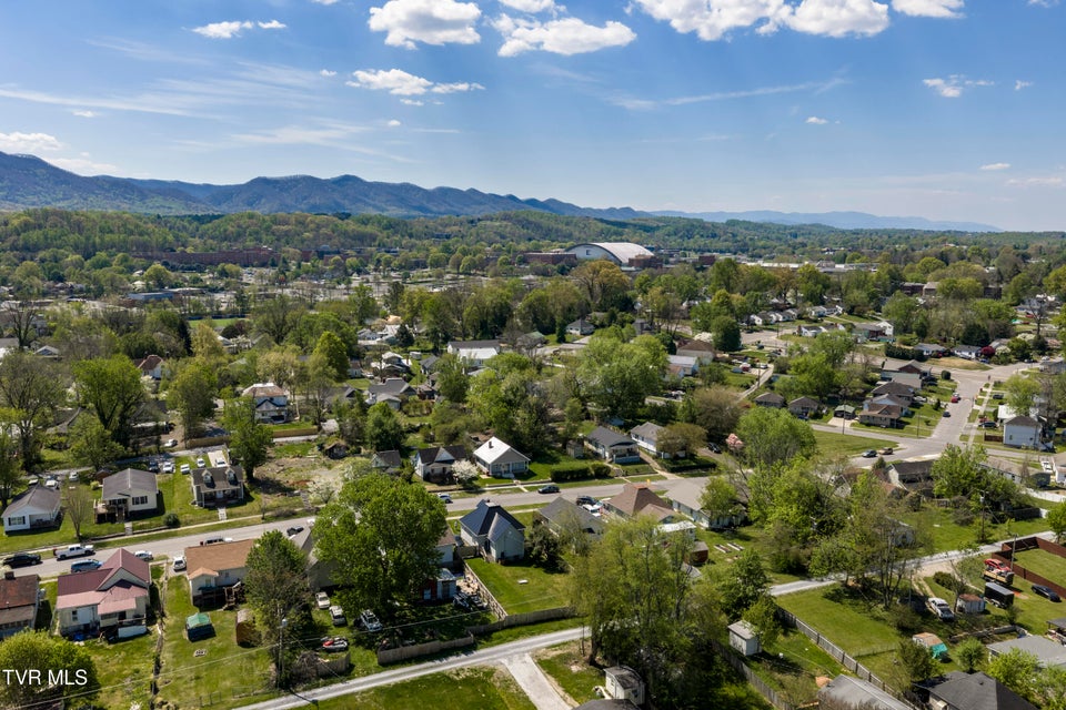 Photo #42: 424 Hamilton Street