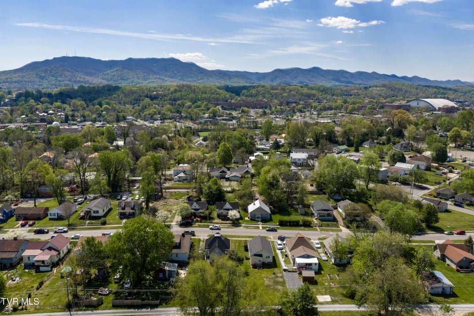 Photo #43: 424 Hamilton Street