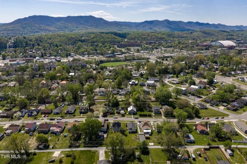 Photo #44: 424 Hamilton Street