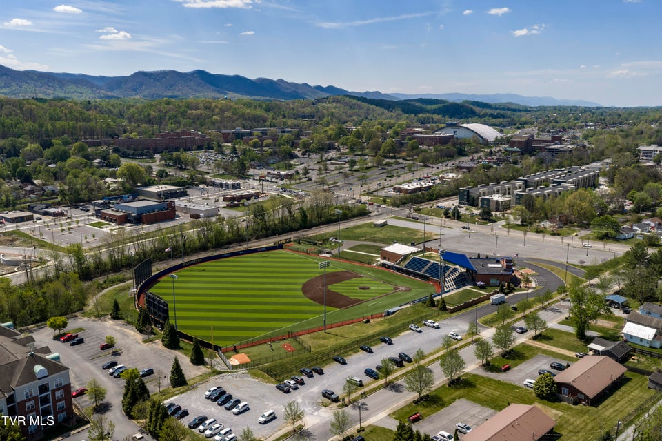 Photo #51: 424 Hamilton Street