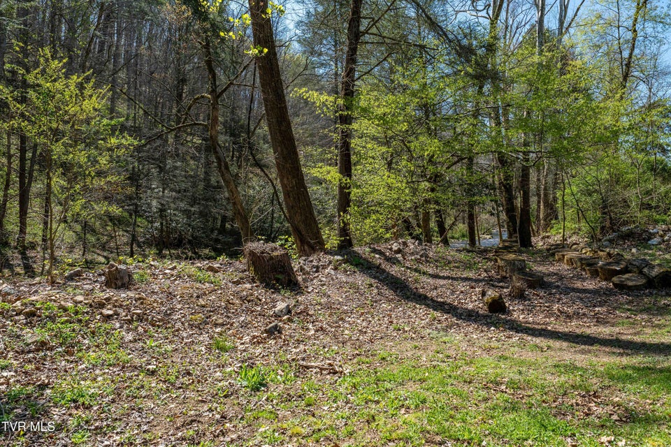 Photo #65: 1676 Tn-91 