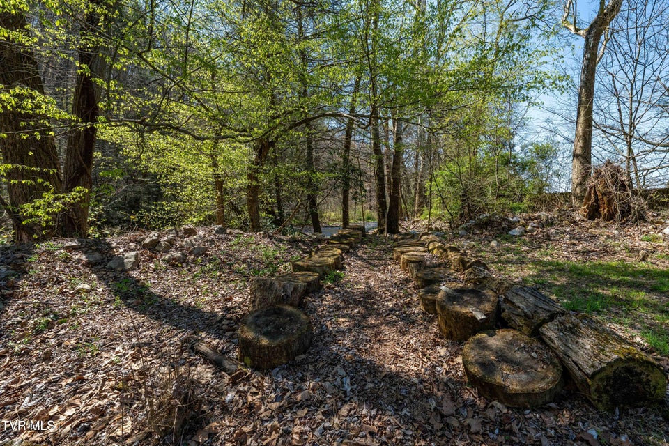 Photo #48: 1676 Tn-91 