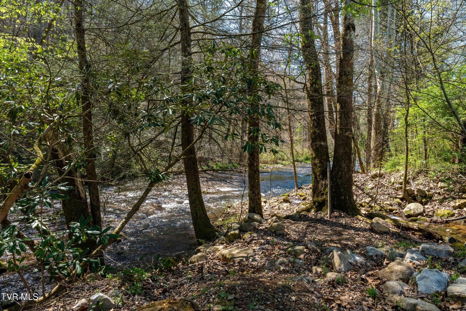 Photo #4: 1676 Tn-91 