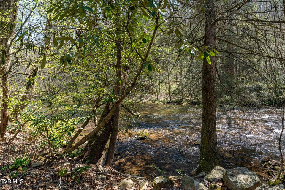 Photo #6: 1676 Tn-91 