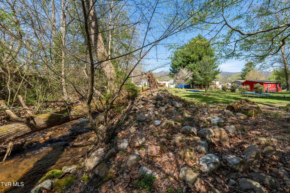 Photo #49: 1676 Tn-91 