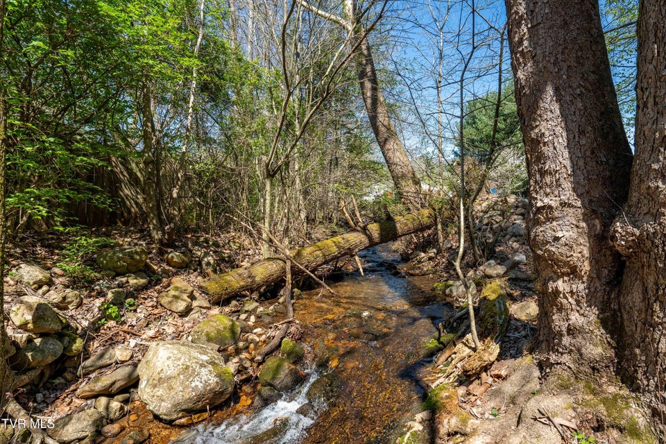 Photo #5: 1676 Tn-91 