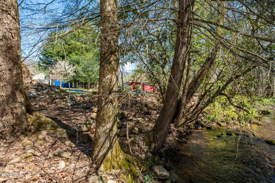 Photo #50: 1676 Tn-91 