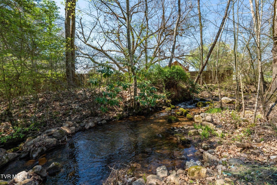 Photo #7: 1676 Tn-91 