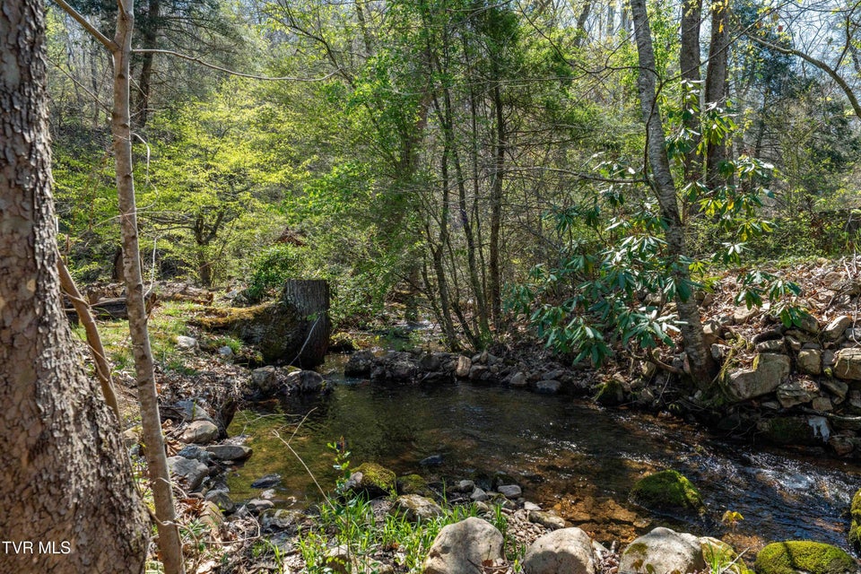 Photo #8: 1676 Tn-91 