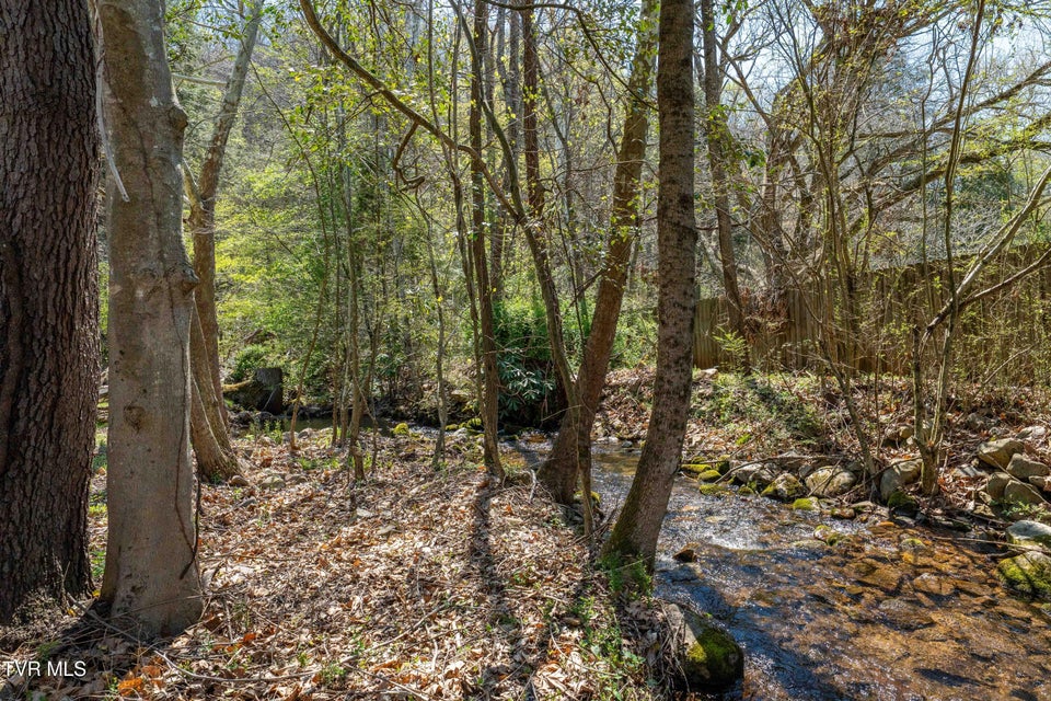 Photo #9: 1676 Tn-91 