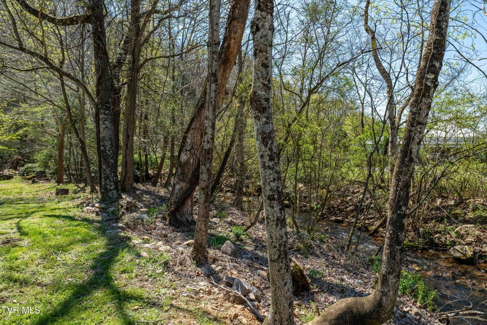 Photo #57: 1676 Tn-91 