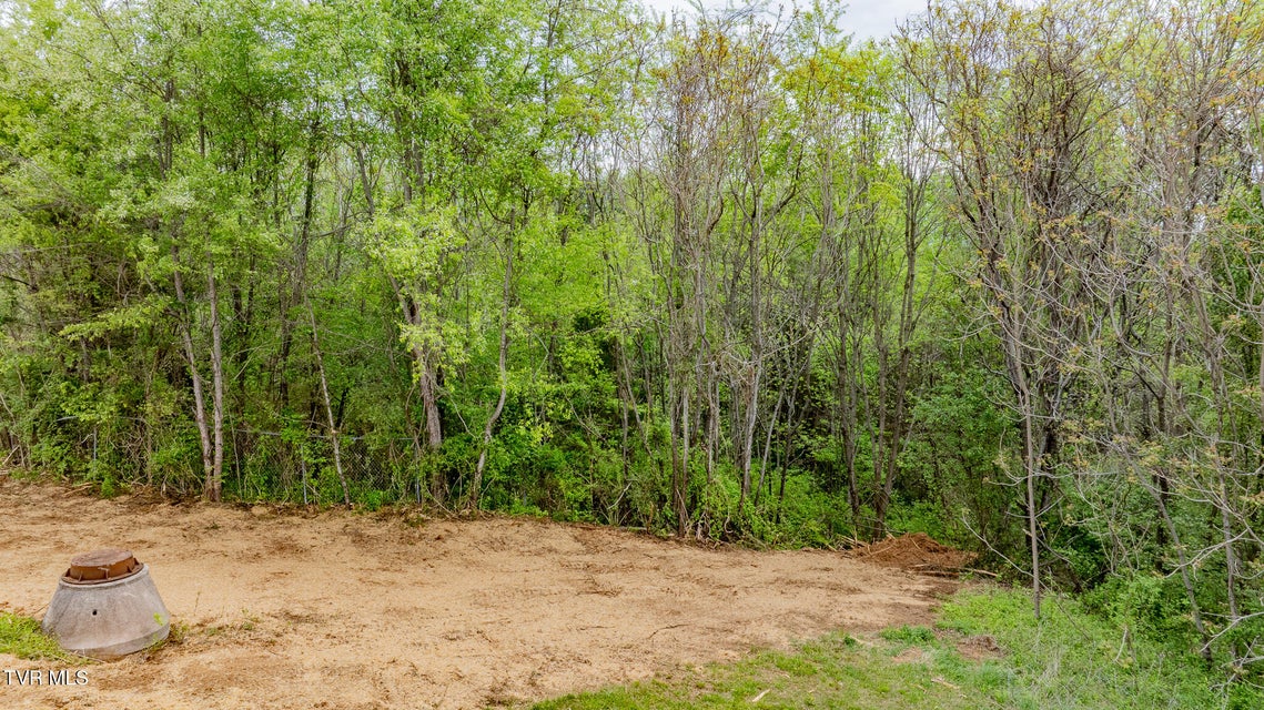 Photo #7: 119 Simmons Ridge