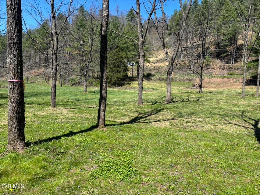 Photo #10: 00 Greer Branch Road