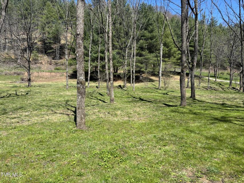 Photo #11: 00 Greer Branch Road