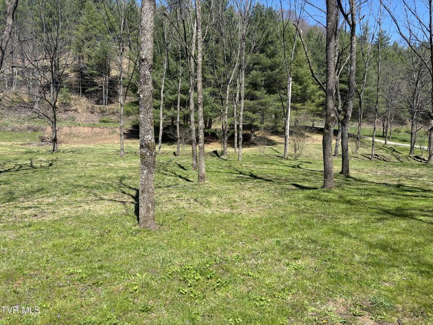 Photo #12: 00 Greer Branch Road