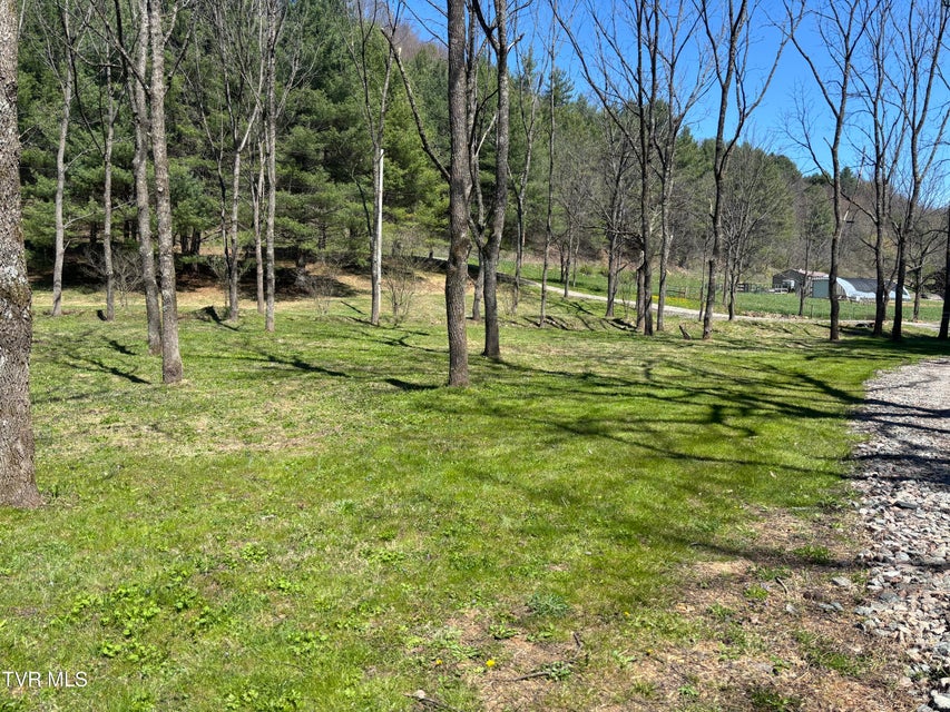 Photo #13: 00 Greer Branch Road