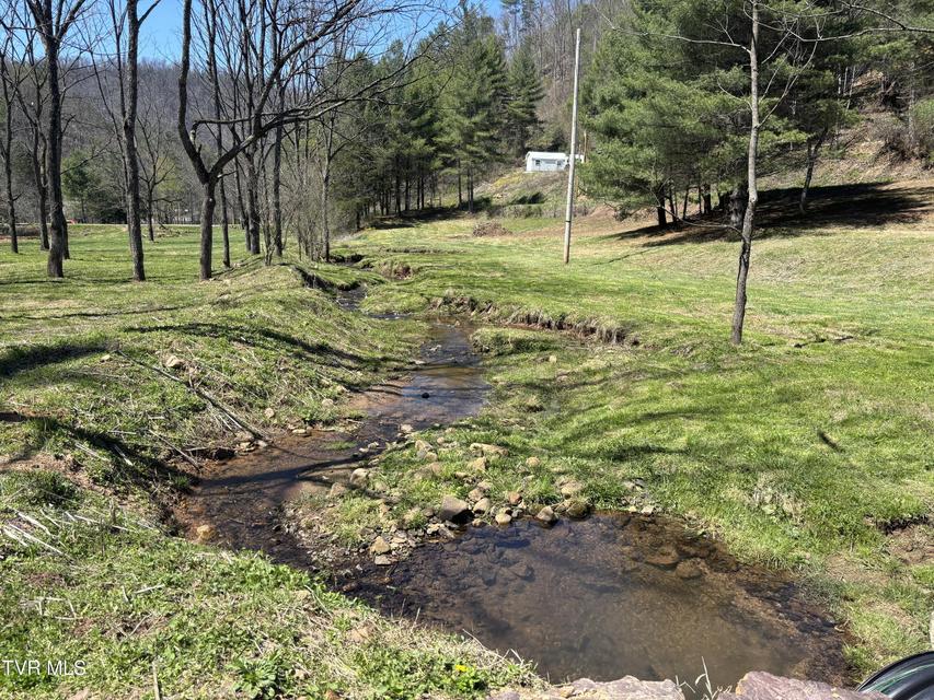 Photo #14: 00 Greer Branch Road