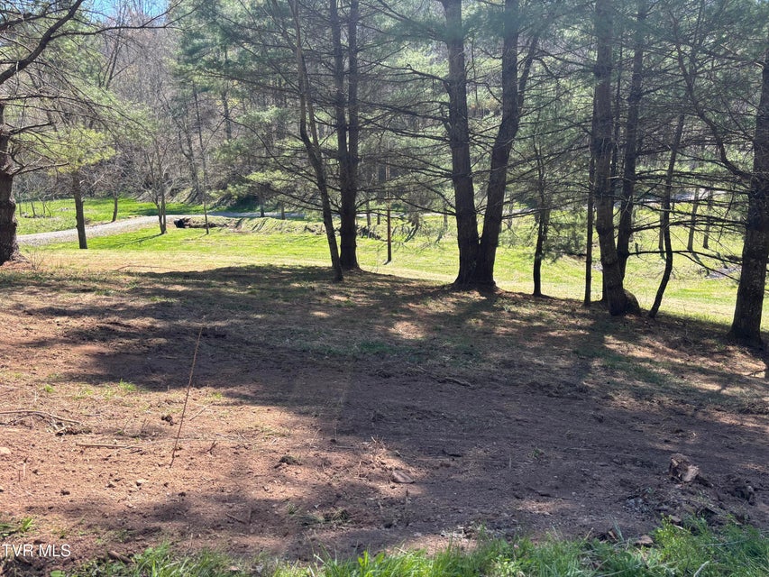 Photo #15: 00 Greer Branch Road