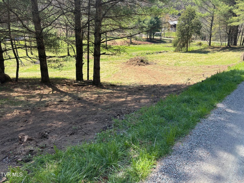 Photo #16: 00 Greer Branch Road