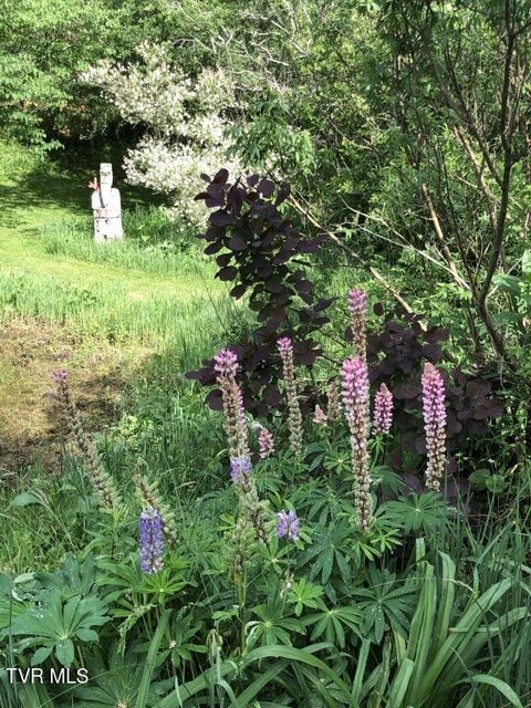 Photo #5: 451 Heaton Creek Road