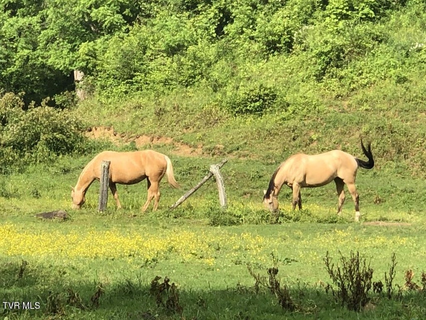 Photo #10: 451 Heaton Creek Road