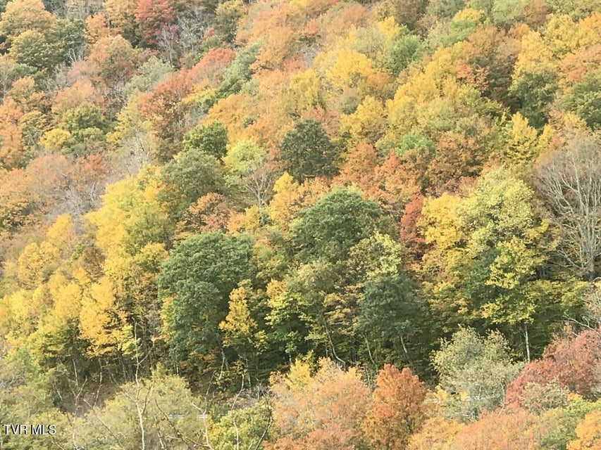 Photo #12: 451 Heaton Creek Road