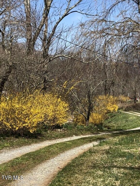 Photo #14: 451 Heaton Creek Road