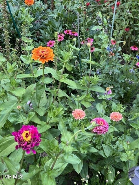 Photo #16: 451 Heaton Creek Road