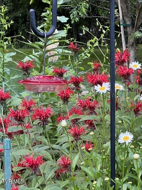 Photo #20: 451 Heaton Creek Road