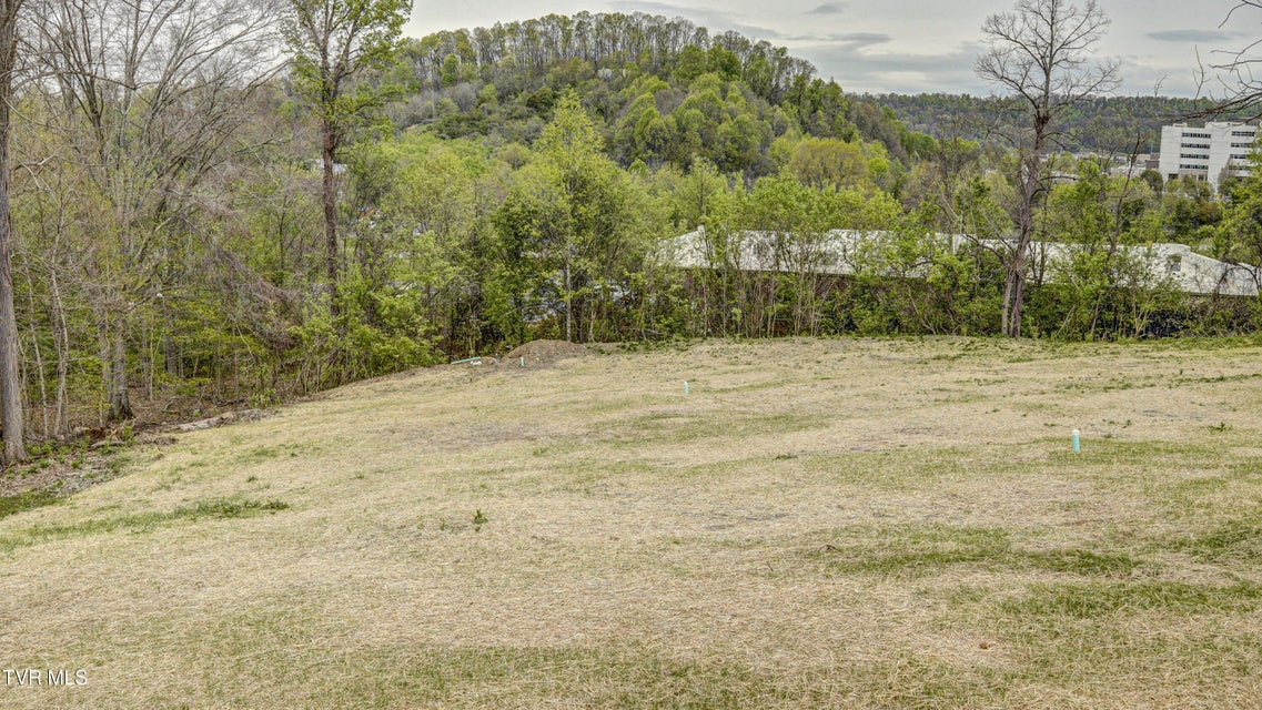 Photo #52: 850 Meadow View Road