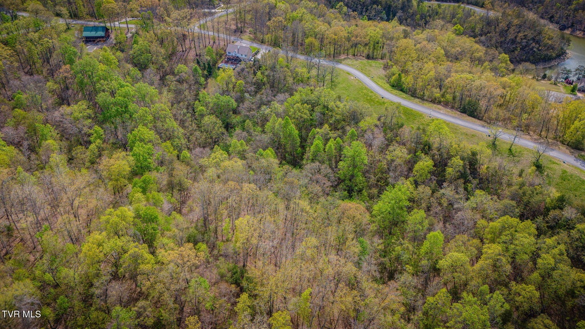 Photo #9: 1998 Turner Landing Road