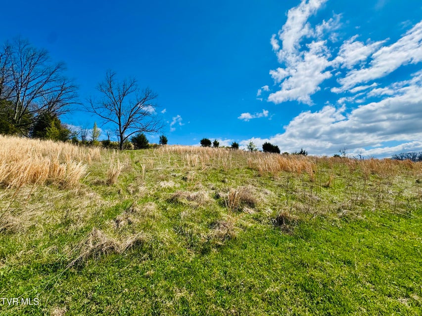 Photo #10: 639 Saylor Hill Road