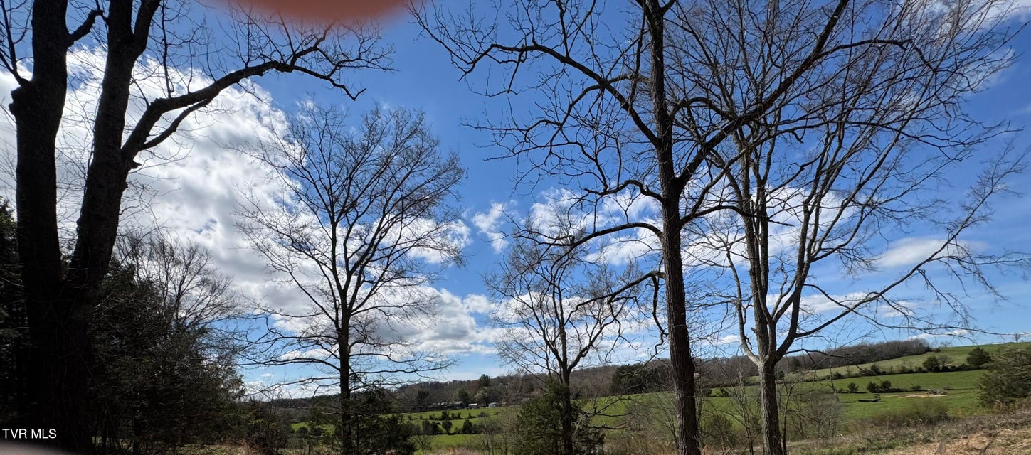 Photo #13: 639 Saylor Hill Road