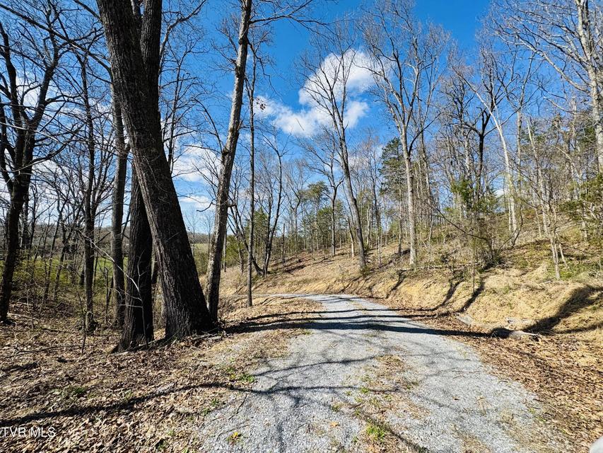 Photo #14: 639 Saylor Hill Road