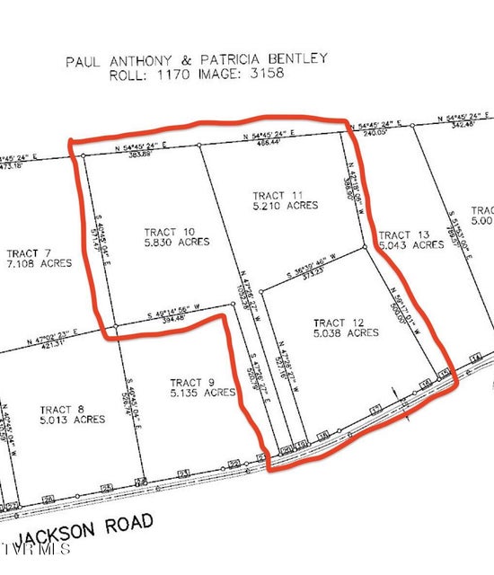 Photo #4: 16+/-Ac Jackson Road