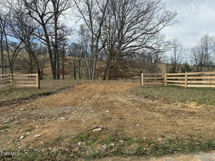 Photo #7: 16+/-Ac Jackson Road