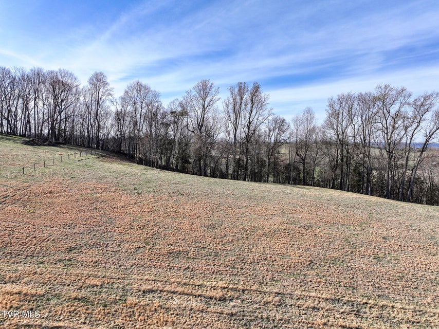 Photo #12: 16+/-Ac Jackson Road