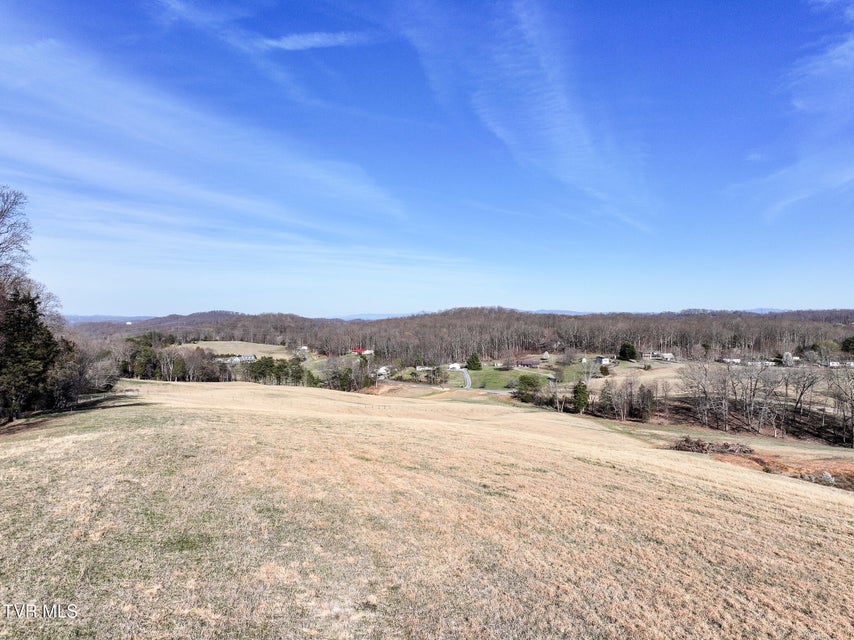 Photo #13: 16+/-Ac Jackson Road