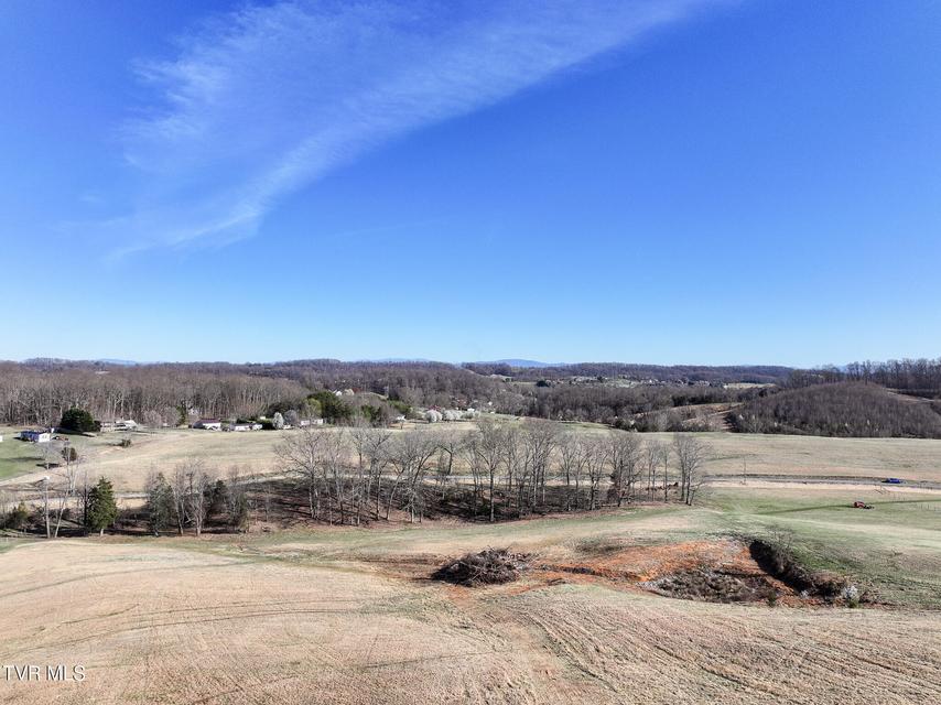 Photo #16: 16+/-Ac Jackson Road