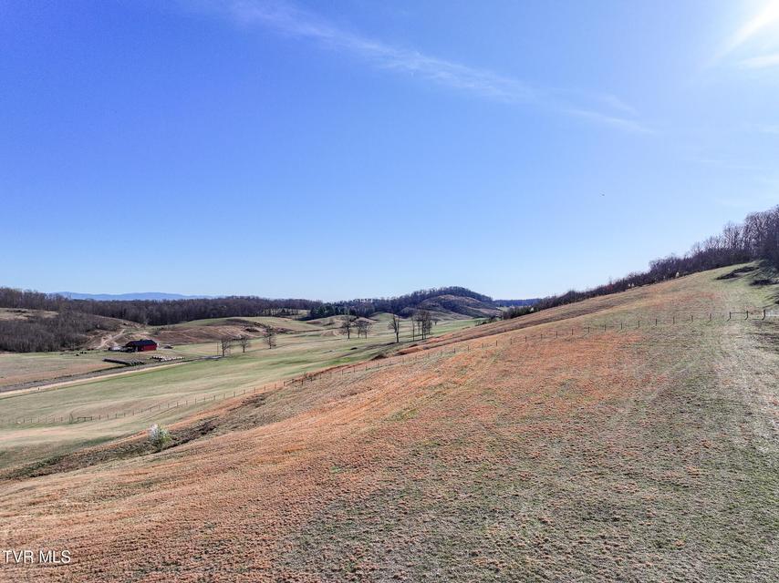 Photo #17: 16+/-Ac Jackson Road