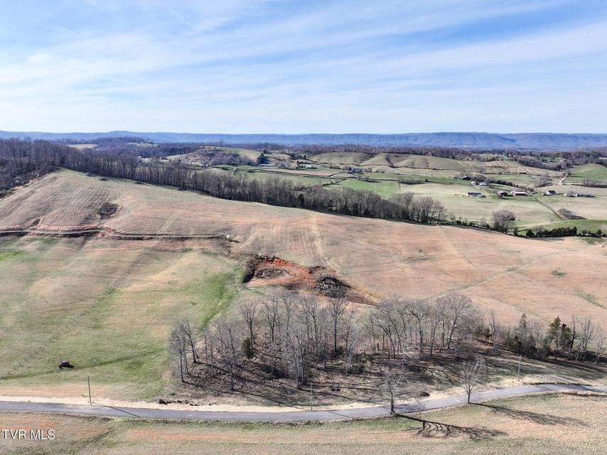 Photo #5: 16+/-Ac Jackson Road