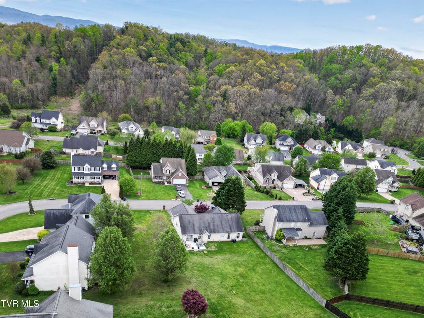 Photo #41: 319 Leslie Court