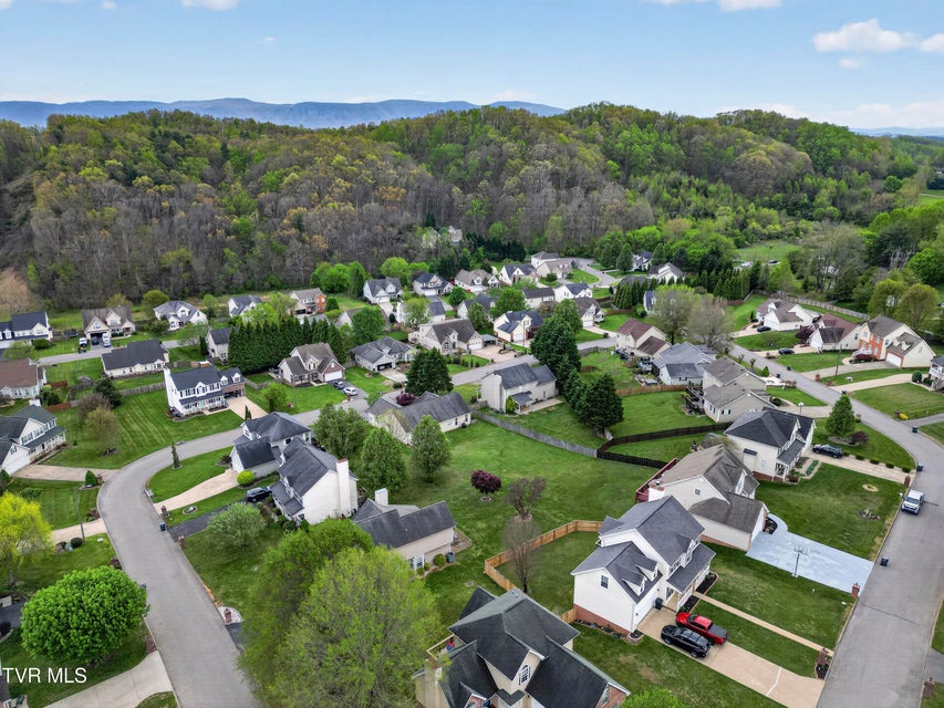 Photo #43: 319 Leslie Court