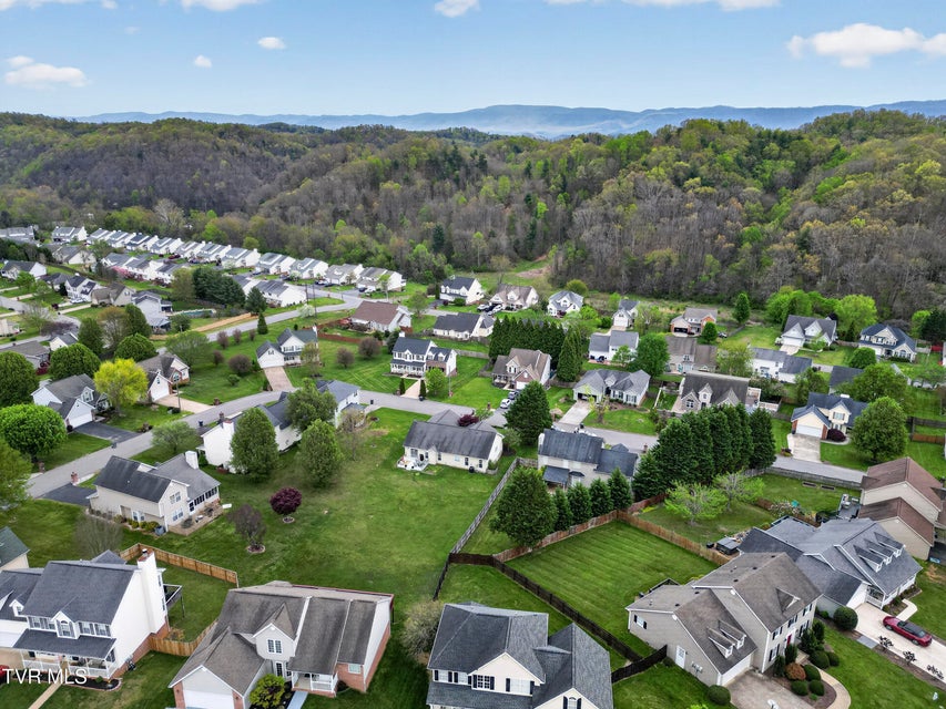 Photo #42: 319 Leslie Court