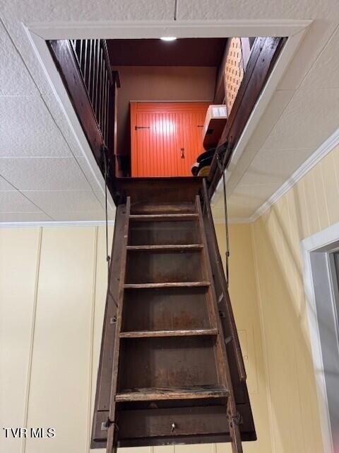 Photo #11: 635 5th Street