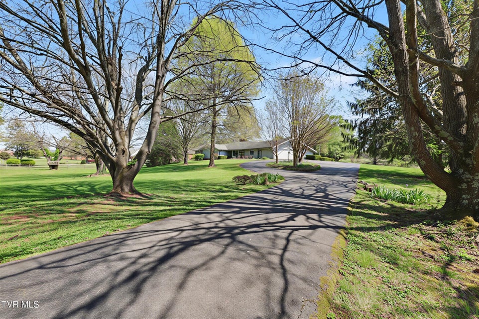 Photo #54: 310 Par Lane