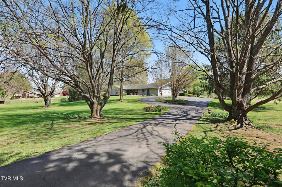 Photo #49: 310 Par Lane